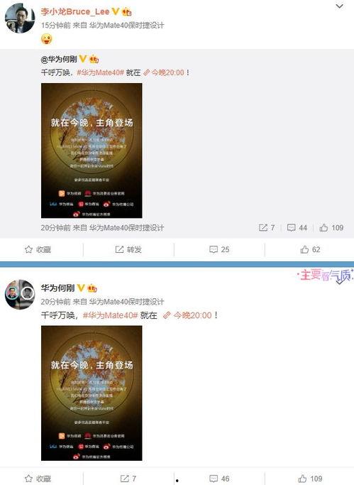 元芳爆料视频大全最新版,揭秘娱乐圈幕后真相